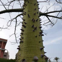 фото из отзыва ID 2637443