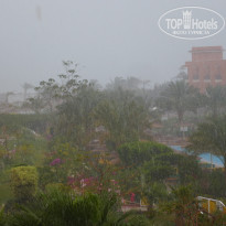 фото из отзыва ID 2637443