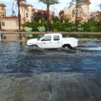 фото из отзыва ID 2637443