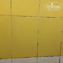 фото из отзыва ID 2637445