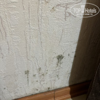 фото из отзыва ID 2637445