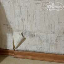 фото из отзыва ID 2637445