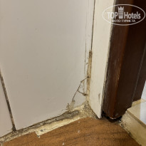 фото из отзыва ID 2637445