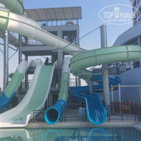 фото из отзыва ID 2637551