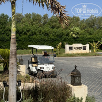 фото из отзыва ID 2637553