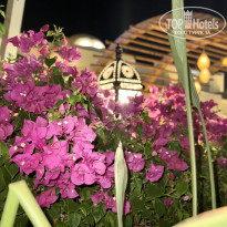 фото из отзыва ID 2637553