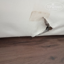 фото из отзыва ID 2637651