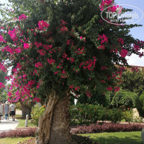 фото из отзыва ID 2637717