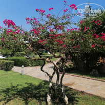 фото из отзыва ID 2637717