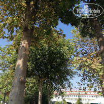 фото из отзыва ID 2637717