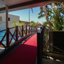 фото из отзыва ID 2634052