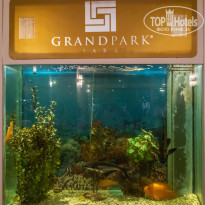 фото из отзыва ID 2634052