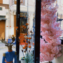 фото из отзыва ID 2637848