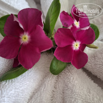 фото из отзыва ID 2637880