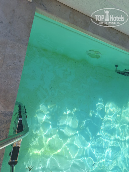 Hotelier's photos Volna Family Resort
