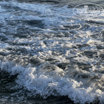 фото из отзыва ID 2637980