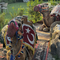 фото из отзыва ID 2637980