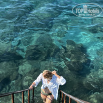 фото из отзыва ID 2637980