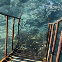 фото из отзыва ID 2637980