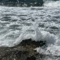 фото из отзыва ID 2637980