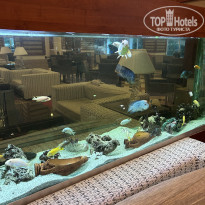 фото из отзыва ID 2637966