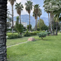 фото из отзыва ID 2637966