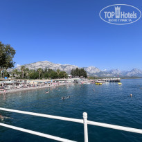 фото из отзыва ID 2637966