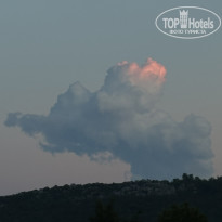 фото из отзыва ID 2637966