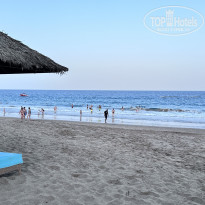 фото из отзыва ID 2638024