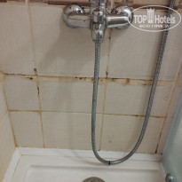 фото из отзыва ID 2638141