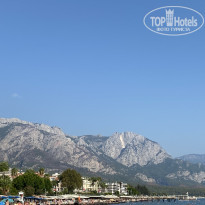 фото из отзыва ID 2638200