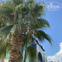 фото из отзыва ID 2638200