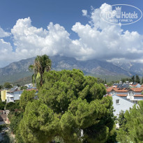 фото из отзыва ID 2638200