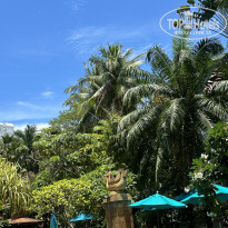 фото из отзыва ID 2638249