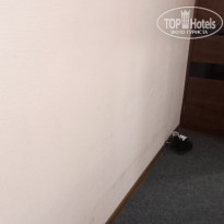 фото из отзыва ID 2638262