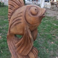 фото из отзыва ID 2638330