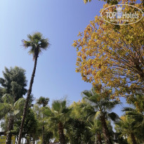 фото из отзыва ID 2637717