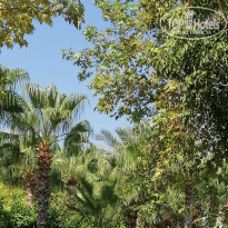 фото из отзыва ID 2637717