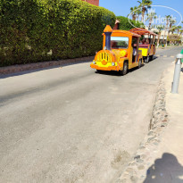 фото из отзыва ID 2638368