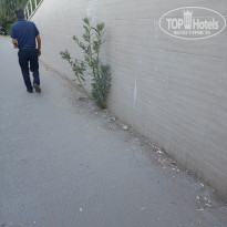 фото из отзыва ID 2637582