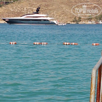 фото из отзыва ID 2638567