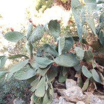 фото из отзыва ID 2638567