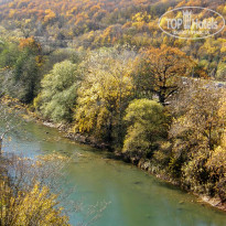 фото из отзыва ID 2638638