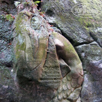 фото из отзыва ID 2638638