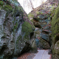 фото из отзыва ID 2638638