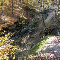 фото из отзыва ID 2638638