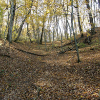 фото из отзыва ID 2638638