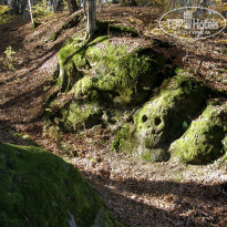 фото из отзыва ID 2638638