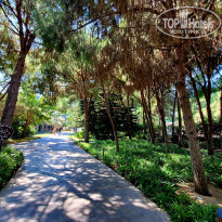 фото из отзыва ID 2638685