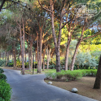 фото из отзыва ID 2638685